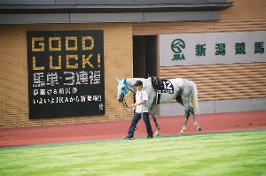 �p�h�b�N�����꒚