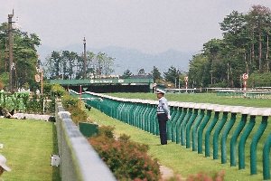 �V������